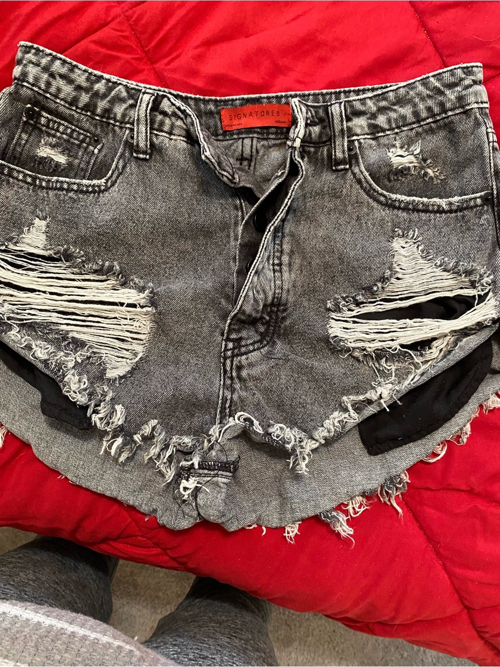 Signature8 Gray Distressed Ripped Denim Shorts